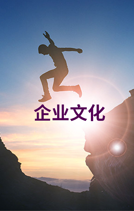 企业文化