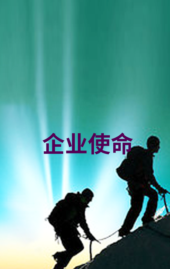 企业使命