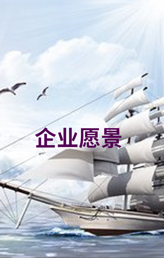企业愿景